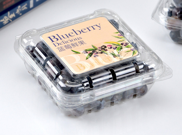 (Box/1200) Blueberry Box 125G Disposable Fruit Box Transparent Blister Pet Thick Square Plastic Package Breathable (Door Delivery Included)