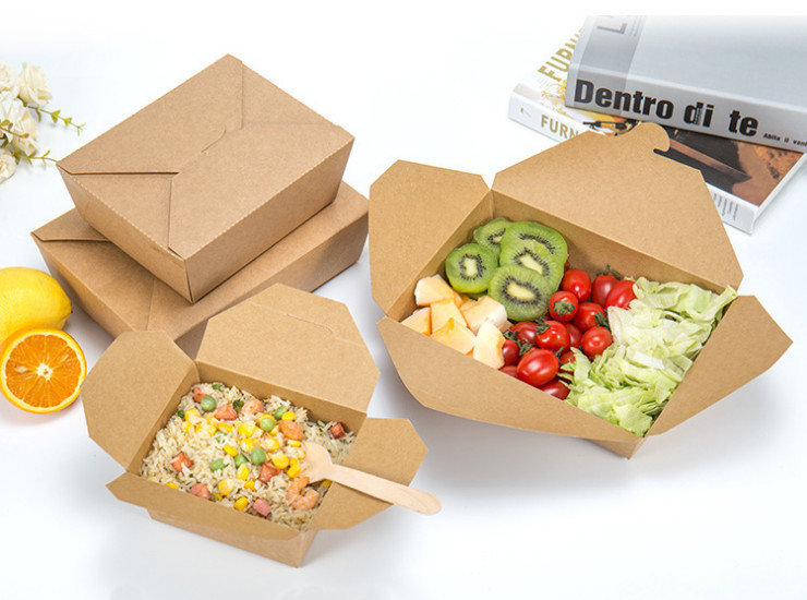 (Carton/200) Disposable Kraft Paper Noodles Spaghetti Pasta Box/Macaroni Curry Food Packaging Box (Door Delivery Included)