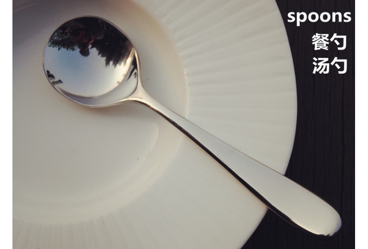 403 Stainless Steel Soup Spoon Rice Spoon
