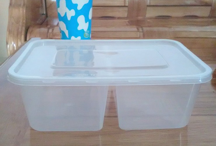 (箱) 一次性塑料透明保鮮盒打包外賣兩格飯盒 650ml/750ml
