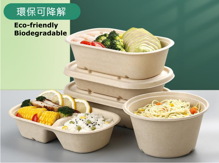 Alternatives to Styrofoam Box Instant-Pick Environmentally Friendly Degradable Takeaway Box Ready Stock) (500 Sets/Box) Disposable Sugarcane Pulp Lunch Box 1000ml Single-Compartment Double-Compartment Degradable Lunch Box